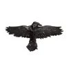 ALCHEMY Black Raven Hair Clip Accessories