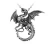 ALCHEMY Dragon Whelp Pendant 1 ALCHEMY Dragon Whelp Pendant