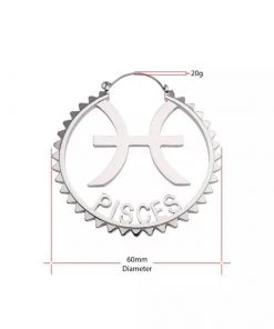 Body Vibe Jewelry Pisces Plug-Friendly Hoops