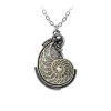 ALCHEMY Accessories Fibonacci's Spiral Pendant 1 ALCHEMY Accessories Fibonacci's Spiral Pendant